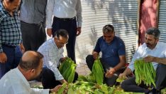 AK Parti heyeti Kahta’nın merkez ve köylerini gezdi