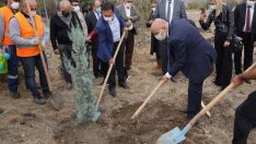 Başkan Altınok Melis Şimşek Hatıra Ormanı’na fidan dikti