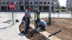 Bir mahalleye daha park yapıldı