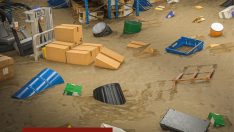 Corpus Sigorta, risk mühendisliği ile işletmelere güven sağlamayı hedefliyor