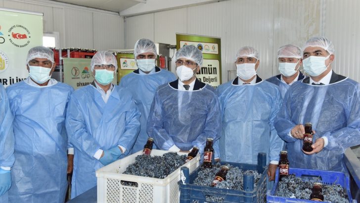 DÜ Ziraat Fakültesi üzüm ürünleri işleme tesisi açılışı ve tadım etkinliği yapıldı