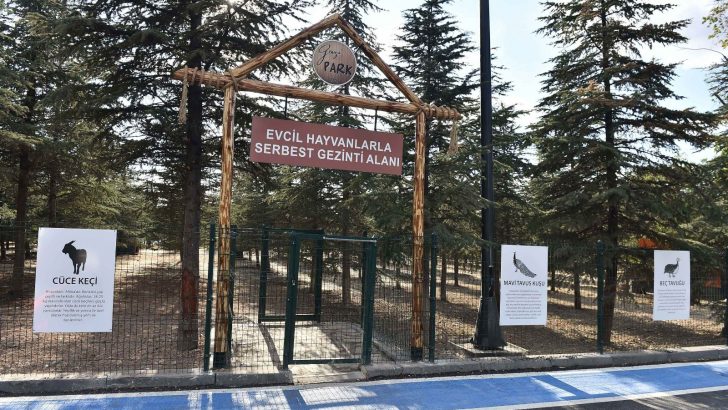 Gazi Park, yemyeşil doğası ve etkinlik alanlarıyla başkentlileri bekliyor