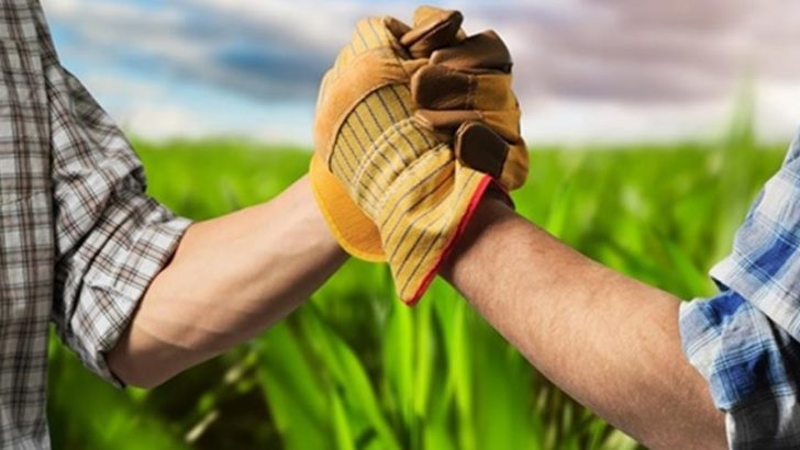 GEKA’dan kooperatif ve birliklere eğitim hizmeti