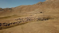 Havalar soğudu göçerlerin zorlu geri dönüş yolculuğu başladı