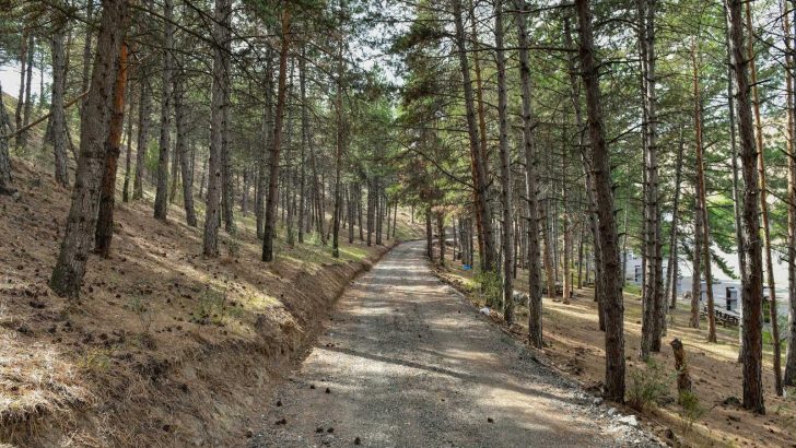 Karaköy Mesire Alanı hizmete açıldı