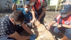 KASMİB, afet bölgesinde hizmetlerine devam ediyor