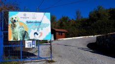 Kuşadası Belediyesi, 9 ayda 2 bin 95 can dosta ev sahipliği yaptı