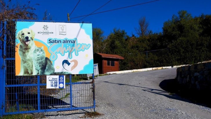 Kuşadası Belediyesi, 9 ayda 2 bin 95 can dosta ev sahipliği yaptı