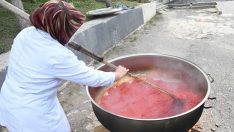 Mamak’ta organik ürünler sofraları süslüyor