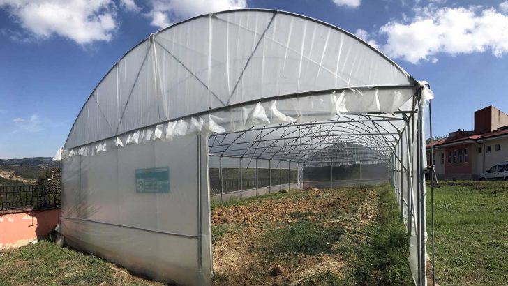 Özel bireyler, serada sebze yetiştirilerek rehabilite ediliyor