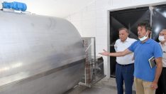 Seyhan Belediyesi mandıra kurdu