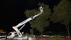 Yeni metro hattındaki ağaçlar kesilmek yerine taşındı