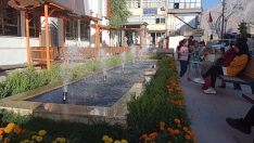 Yenilenen fıskiyelerle Hakkari rengarenk oldu
