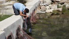 Yüzey suyu atık kapanı projesi ile haftada 65 kilo atık toplanıyor