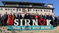 AK Parti yerel yönetimler ve bölge toplantısı Şırnak’ta yapılacak