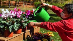 ANFA Bitki Evi üçüncü şubesini 30 Ağustos Zafer Parkı’nda açtı