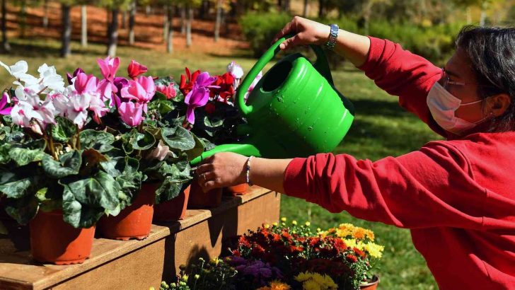 ANFA Bitki Evi üçüncü şubesini 30 Ağustos Zafer Parkı’nda açtı