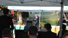 Balıkesir Büyükşehir’den süt otu desteğinde rekor