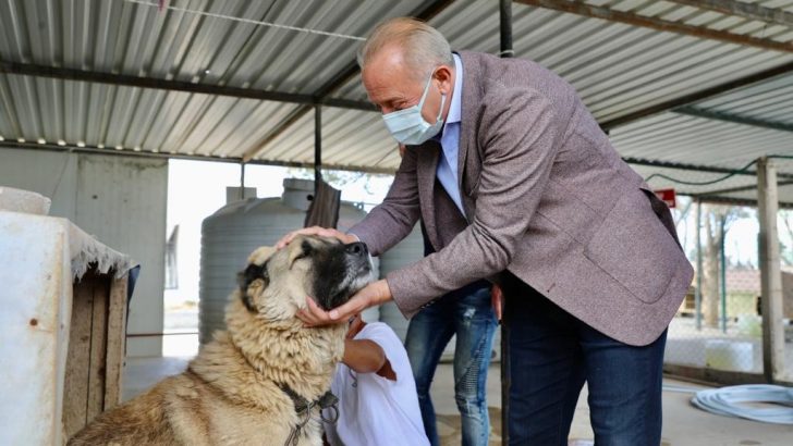 Didim’de can dostlar için ameliyathane açıldı