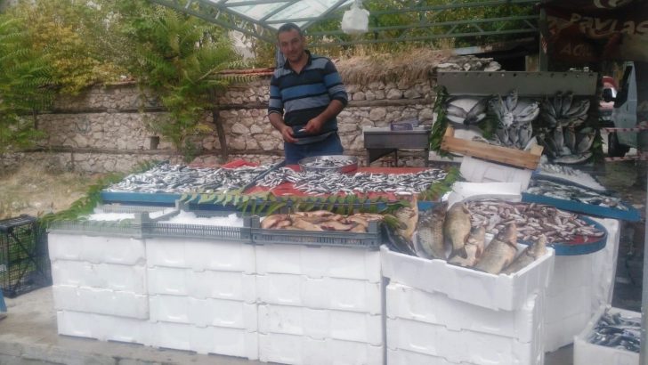 Emet’te yeni balık satış noktası açıldı