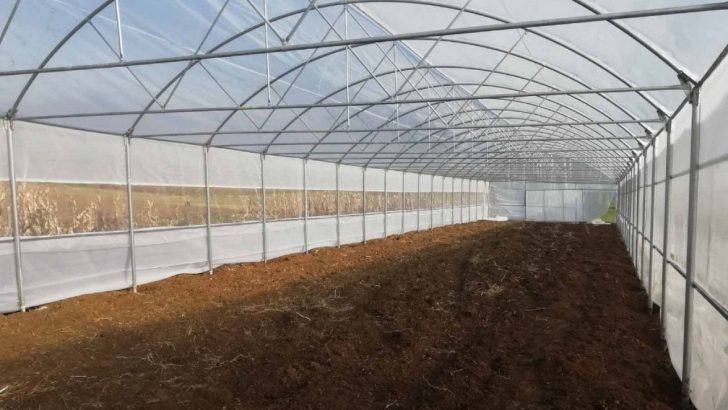 Fidanlık şefliğinde bulunan seranın onarımı yapılacak