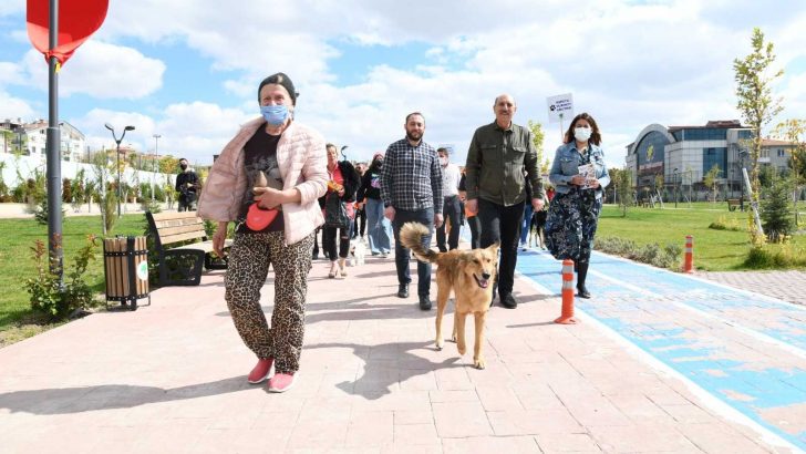 Hayvanseverler, Başkent’te hayvanlar için yürüdü