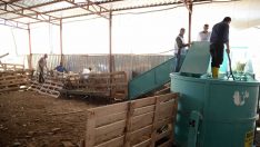 Kahramankazan Belediyesi’nden hayvan yetiştiricileri için uygulama