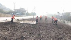 Kuvayi Milliye yeşil alan kazanıyor