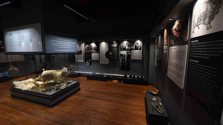 Mansur Yavaş Ankara’nın Kalkınma Reçetesini Beypazarı’nda açıkladı: