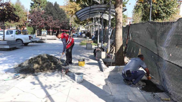 Millet bahçesinde ücretsiz internet hizmeti