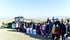 Öğrencilerin tohumları Mamak’ta toprakla buluştu