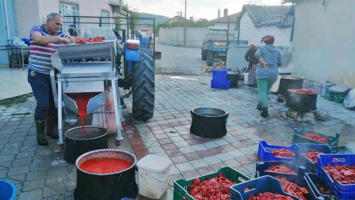 (Özel) İmece usulü ile salça yapıyorlar