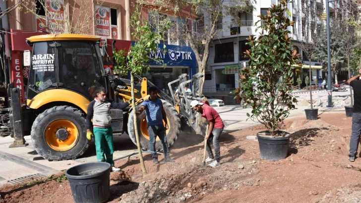 Siirt’te ağaçlandırma çalışmaları başladı