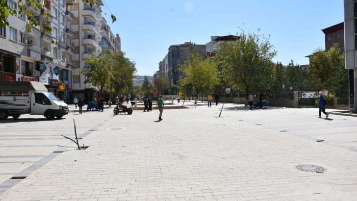 Siirt’te ağaçlandırma çalışmaları başladı