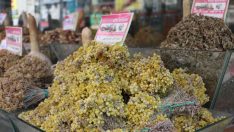 Sonbahar geldi, alerjik hastalıklar çoğaldı, bitki çaylarına rağbet arttı