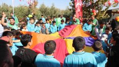Suriyeli öğrenciler barış ve kardeşlik için zeytin topladı