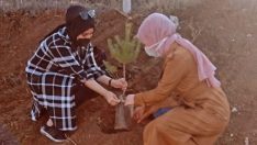 100 fidan toprakla buluştu