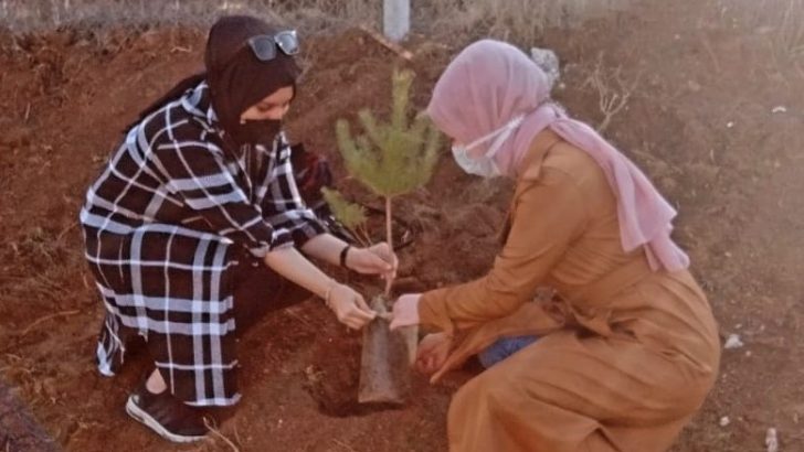 100 fidan toprakla buluştu