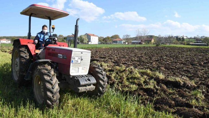16 bin iş yeri, 19 bin toplu taşıma aracı denetlendi