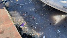 Arnavutköy sahili atıklar ve denizanalarıyla doldu