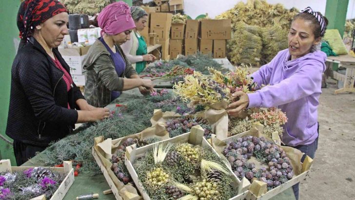 Avrupa’nın Yılbaşı çelenkleri Antalyalı kadınların ellerinden çıkıyor