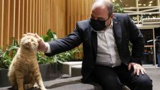 Bakan Varank, kütüphaneye pizza götürdü