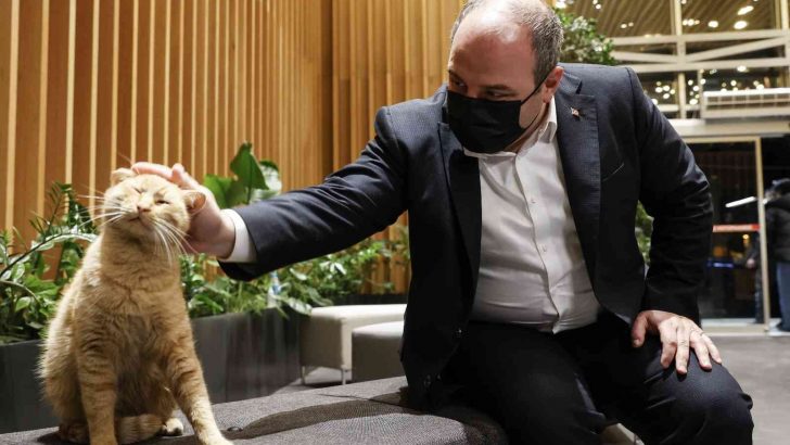 Bakan Varank, kütüphaneye pizza götürdü