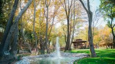 Bakımsız vadi doğal yaşam parkına dönüştürüldü