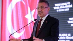 Cumhurbaşkanı Yardımcısı Oktay: “Her şartta Kıbrıs Türk halkının yanında olacağımızı, bölgede geleceği omuz omuza beraber şekillendireceğimizi bir kez daha teyit ettik”