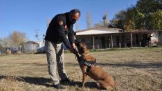 Emniyetin hassas burnu ‘Zela’ isimli köpek emekliliğe ayrıldı