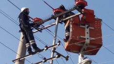 Göçmen kuşlar artık güvende