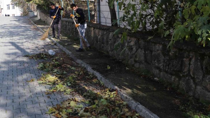 Havza Belediyesi’nden sonbahar temizliği