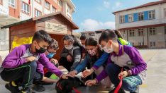 Her okula bir sokak köpeği