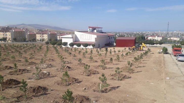 İpekyolunda park ve bahçeler kışa hazırlanıyor